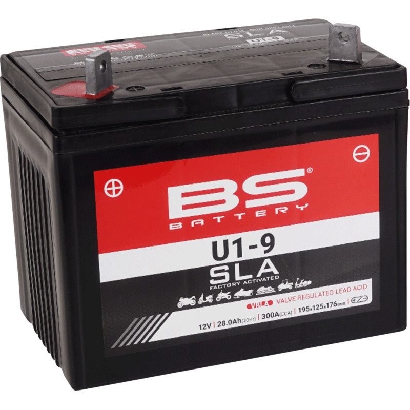 BS BATTERY SLA Factory- Activated AGM Maintenance-Free Battery - Image 22