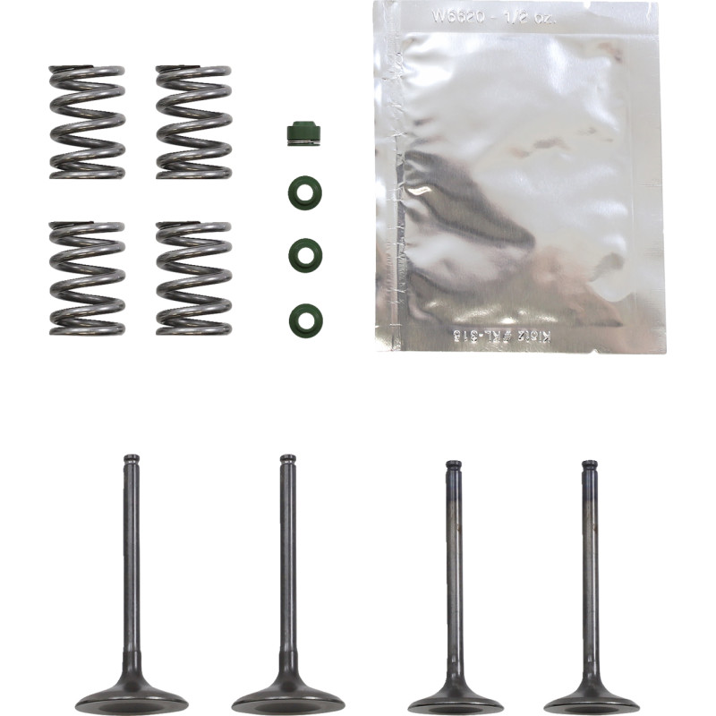 WISECO Valve Kit - Image 11