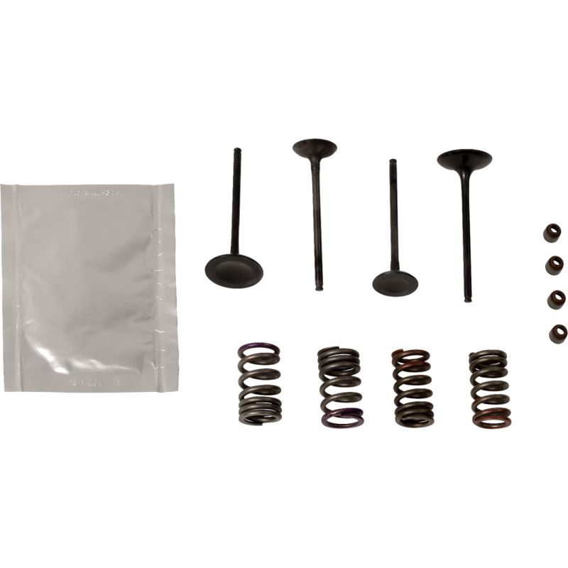 WISECO Valve Kit - Image 14