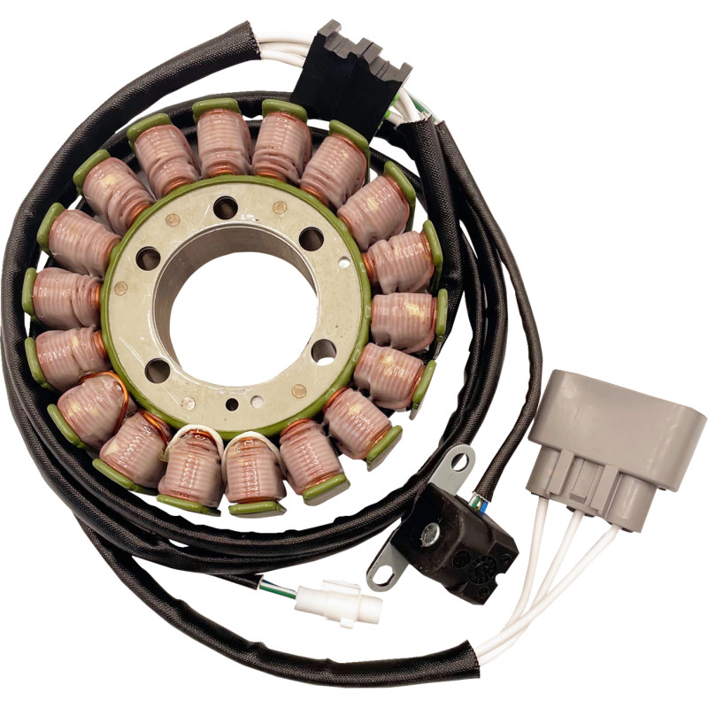 RICK'S MOTORSPORT ELECTRIC OE Style Stator - Image 10
