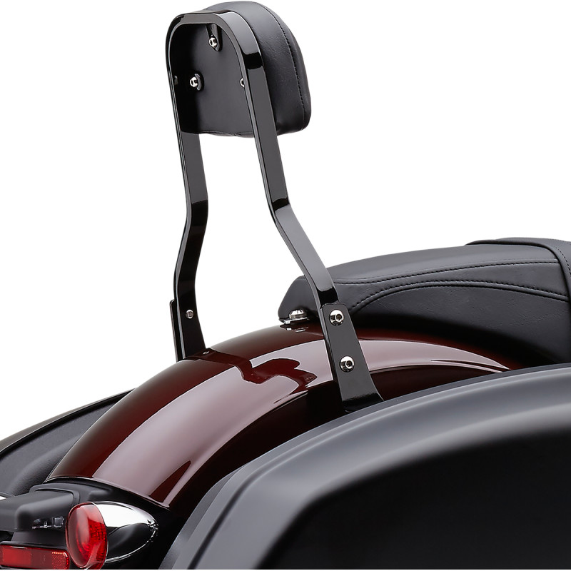 COBRA Detachable Backrest Kit