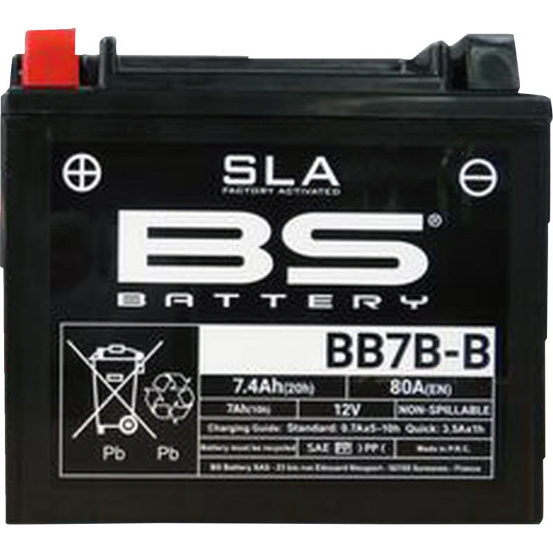 BS BATTERY SLA Factory- Activated AGM Maintenance-Free Battery - Image 21
