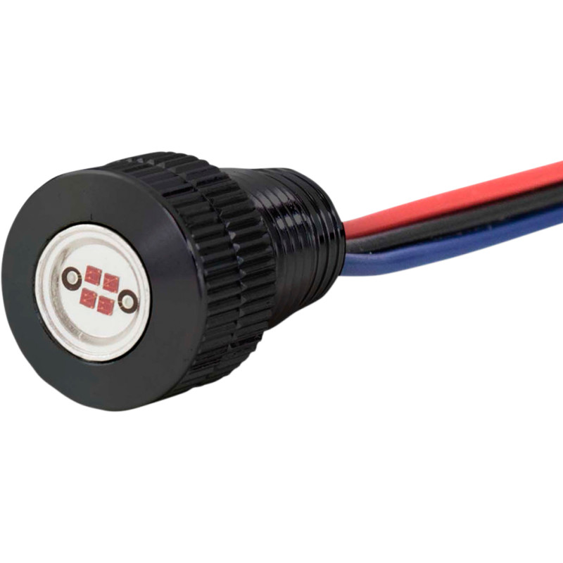 PAUL YAFFE BAGGER NATION Lightning Bolts LEDs