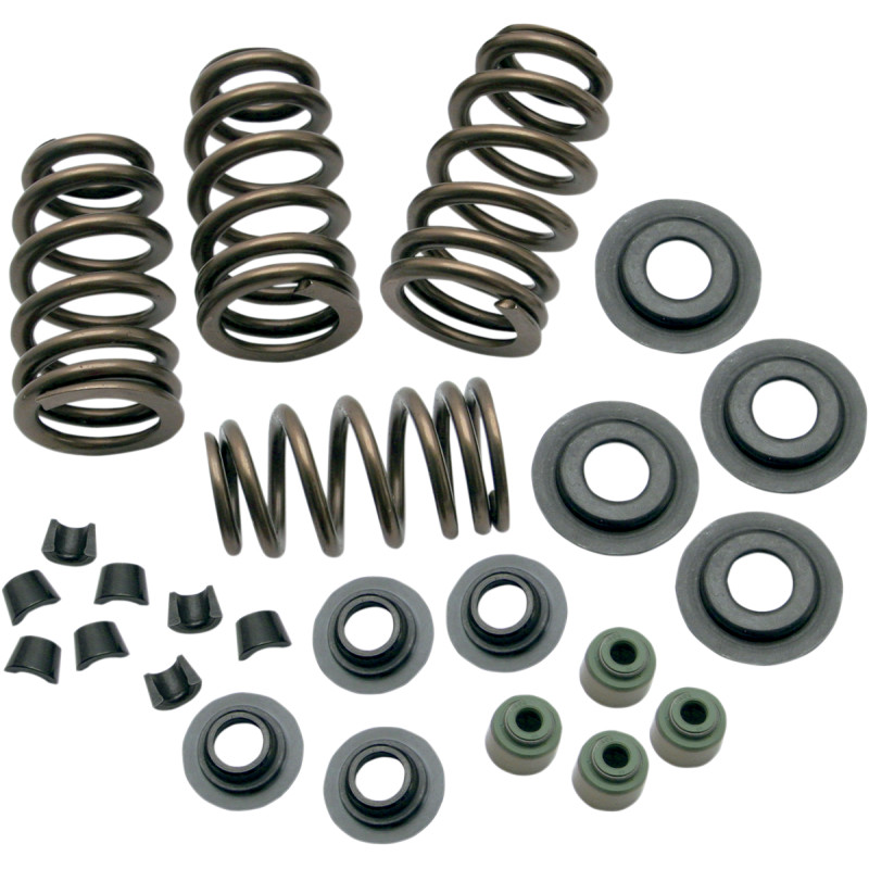 S&S CYCLE 0.650" Sidewinder® Valve Spring Kit - Image 2