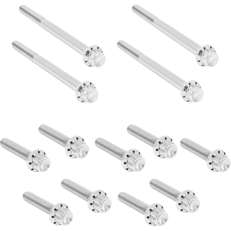 ARLEN NESS Outer Primary Cover Titanium 12-Point Bolt Kit