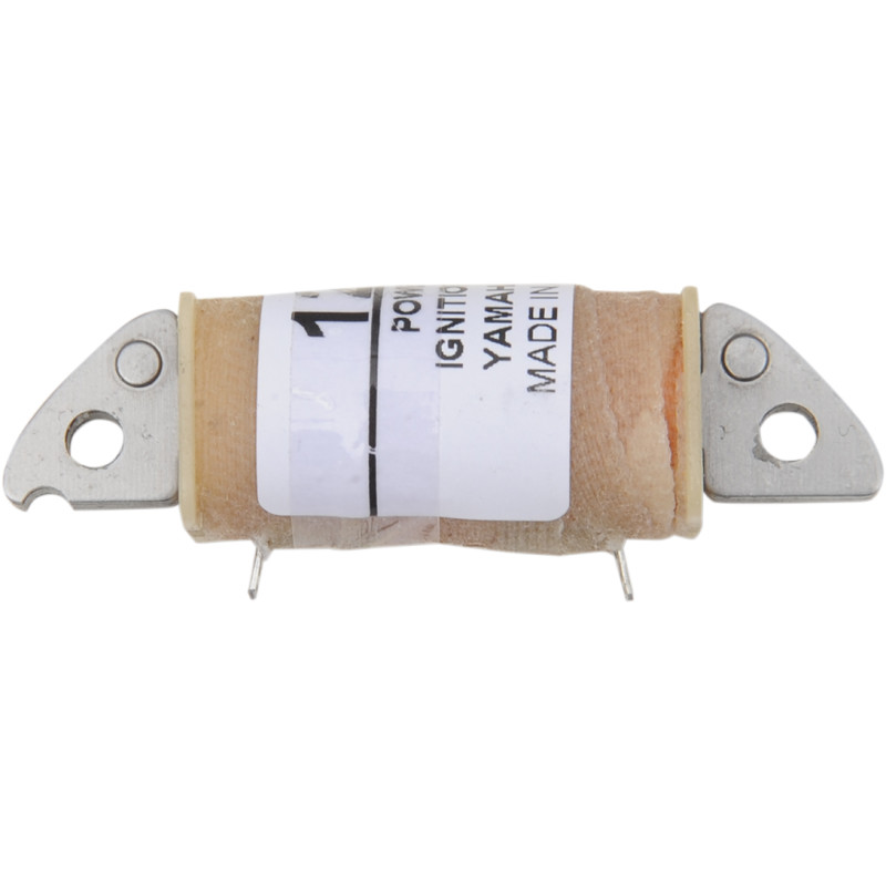 RICK'S MOTORSPORT ELECTRIC Charging Coil